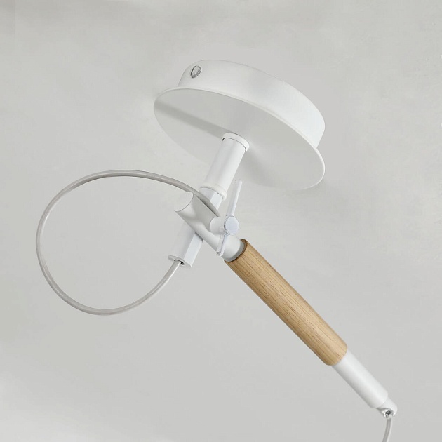 Подвесной светильник F-Promo Eureka 3005-1P изображение 3 Подвесной светильник F-Promo Eureka 3005-1P Фото № 3