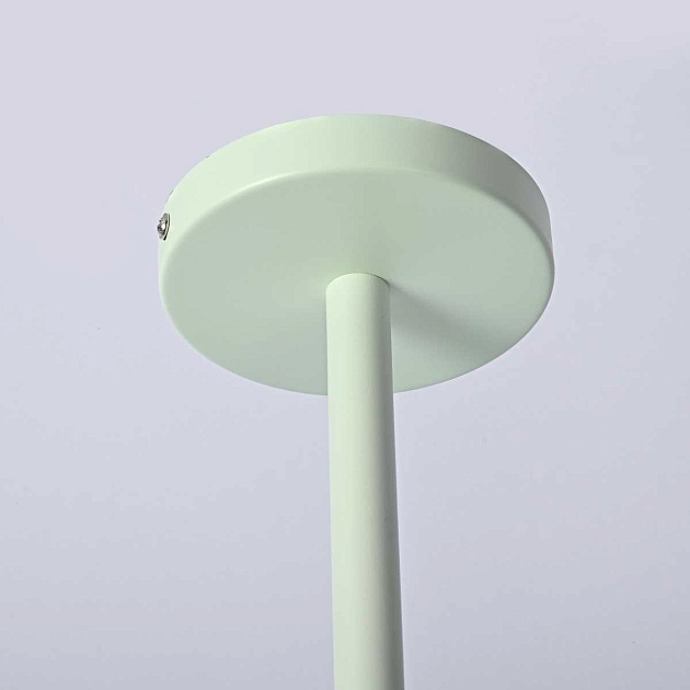 Подвесная люстра Imperium Loft Natura 101824-26 Фото № 8