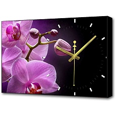 Настенные часы Toplight 37х60х4см TL-C5042