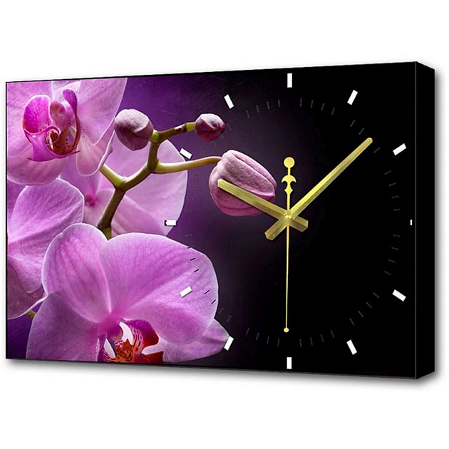 Настенные часы Toplight 37х60х4см TL-C5042 изображение 1 Настенные часы Toplight 37х60х4см TL-C5042 Фото № 1