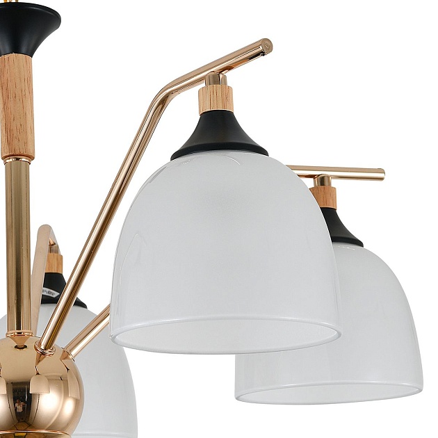 Подвесная люстра Escada Actinidia 2123/5P изображение 2 Подвесная люстра Escada Actinidia 2123/5P Фото № 2