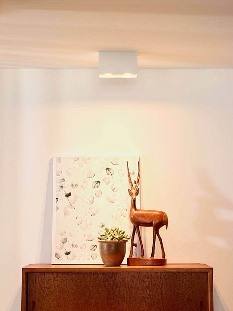 Потолочный светильник Lucide Bodi 09101/02/31 изображение 2 Потолочный светильник Lucide Bodi 09101/02/31 Фото № 2