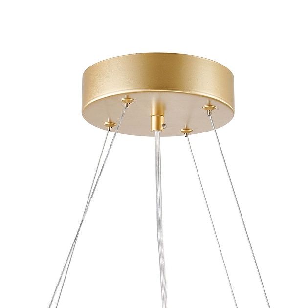 Подвесной светодиодный светильник Favourite Asterismo 4448-6P Фото № 3