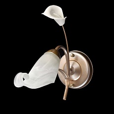 Бра MW-Light Восторг 19 242026601 2