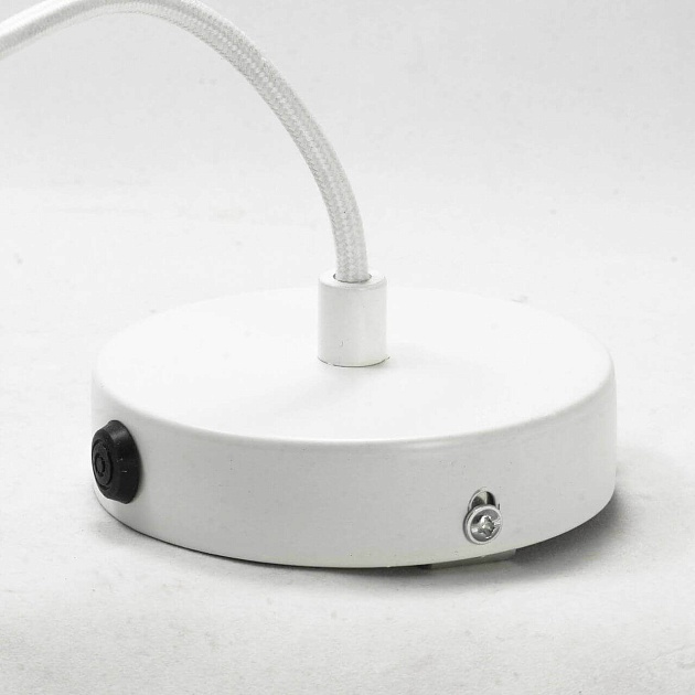 Подвесной светильник Lussole Loft LSP-9559 Фото № 2