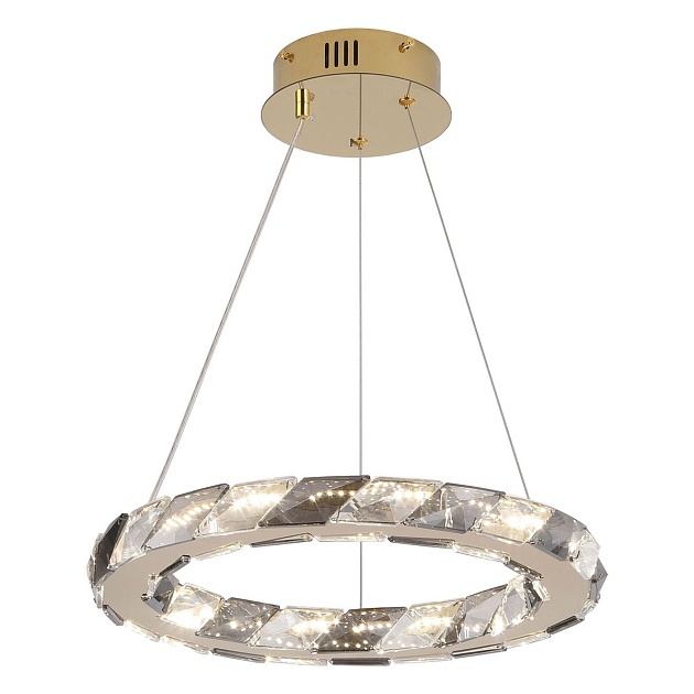 Подвесной светодиодный светильник Lussole Citrus LSP-7156 Фото № 1