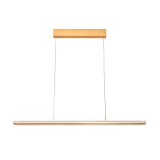 Подвесной светильник Vele Luce Futuro VL7224P01 1