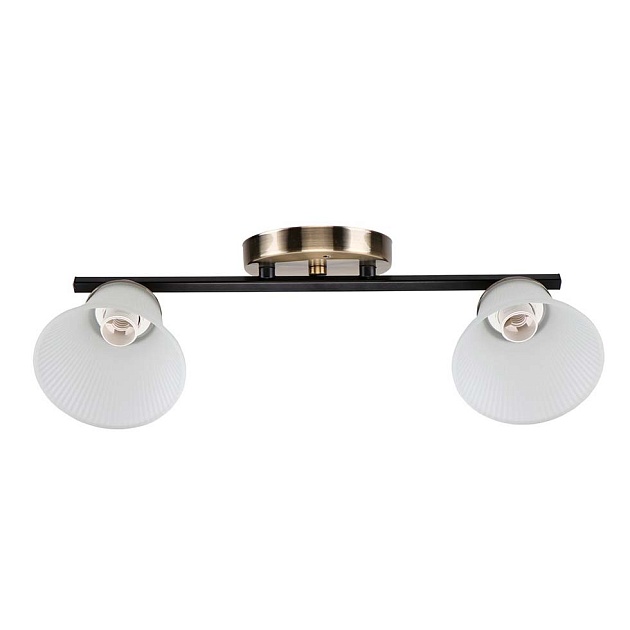 Спот ЭкономСвет 10165/2AB+BK WT изображение 1 Спот ЭкономСвет 10165/2AB+BK WT Фото № 1