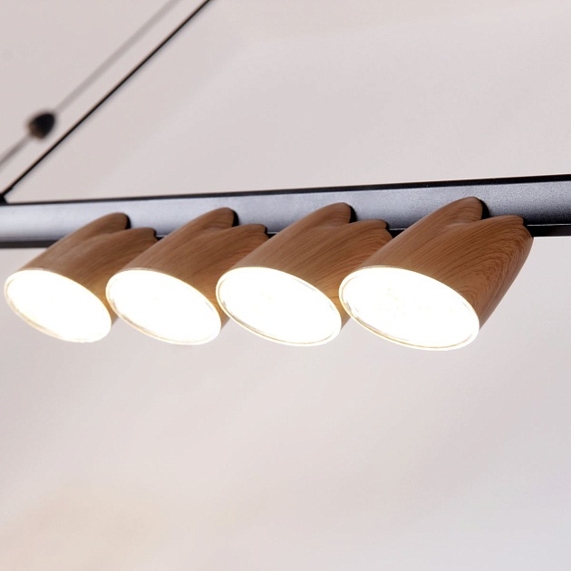 Подвесная светодиодная люстра Favourite Interline 4266-10P Фото № 3