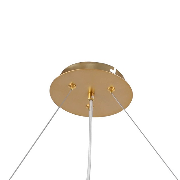 Подвесная люстра F-Promo Multy Bliss 2772-12P Фото № 3