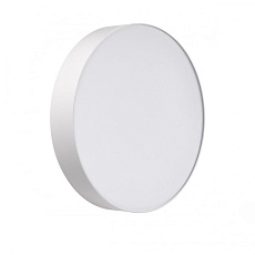 Настенно-потолочный светильник Sonex BASICA 7779/DLN