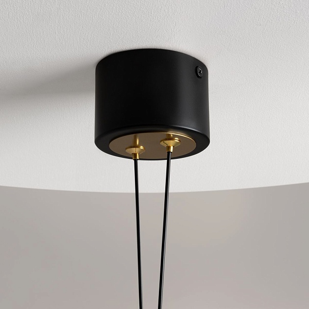 Подвесной светодиодный светильник Maytoni Link MOD357PL-L14BS3K Фото № 4