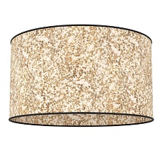 Потолочный светильник Eglo Butterburn 43935