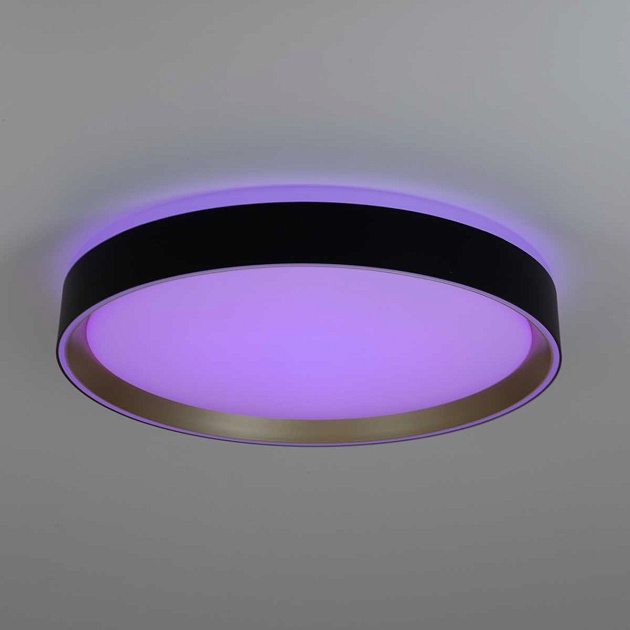 Потолочный светодиодный светильник Citilux Boss CL751351G Фото № 11