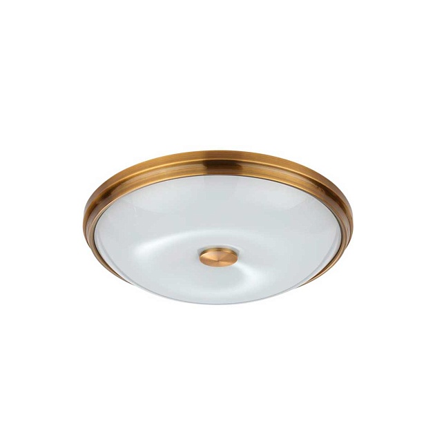 Потолочный светильник Odeon Light Walli Pelow 4956/4 изображение 1 Потолочный светильник Odeon Light Walli Pelow 4956/4 Фото № 1