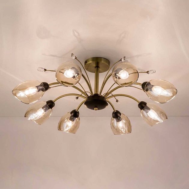 Потолочная люстра Citilux Комета CL108185 изображение 12 Потолочная люстра Citilux Комета CL108185 Фото № 12