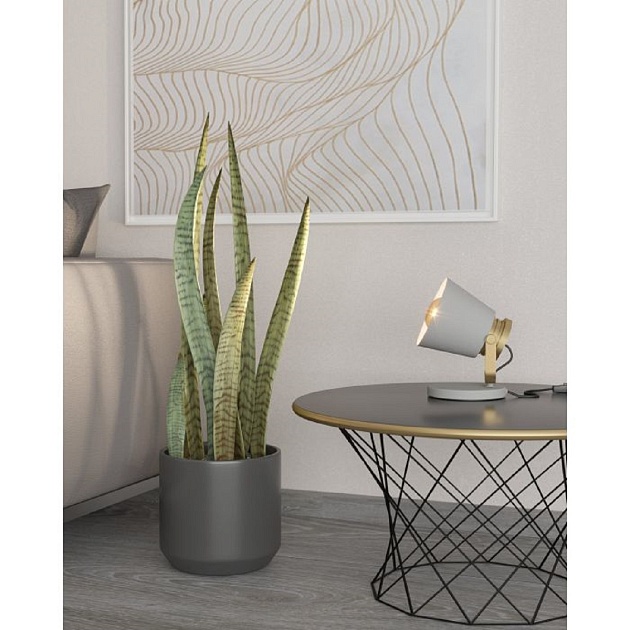 Настольная лампа Eglo Twicken 43841 Фото № 3