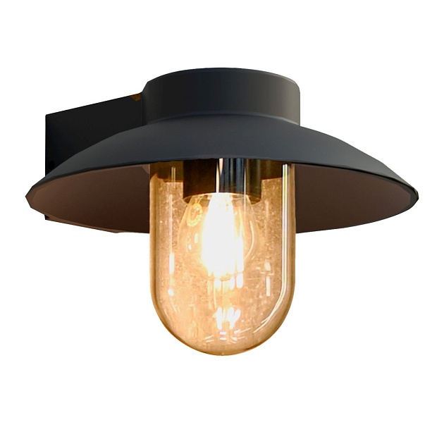 Уличный настенный светильник Favourite Lock 4384-1W Фото № 1