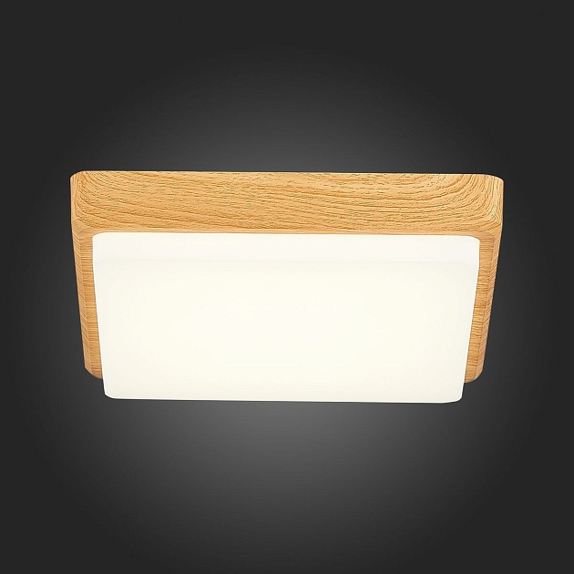 Потолочный светодиодный светильник Evoluce Taddio SLE200202-01 изображение 4 Потолочный светодиодный светильник Evoluce Taddio SLE200202-01 Фото № 4