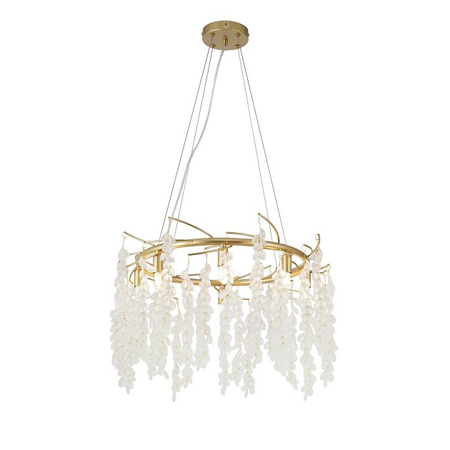 Подвесная люстра Favourite Desmi 4108-8P Фото № 1