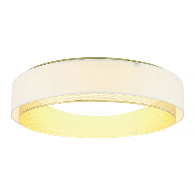 Потолочный светодиодный светильник MyFar Anders MR2371-1CL Фото № 6