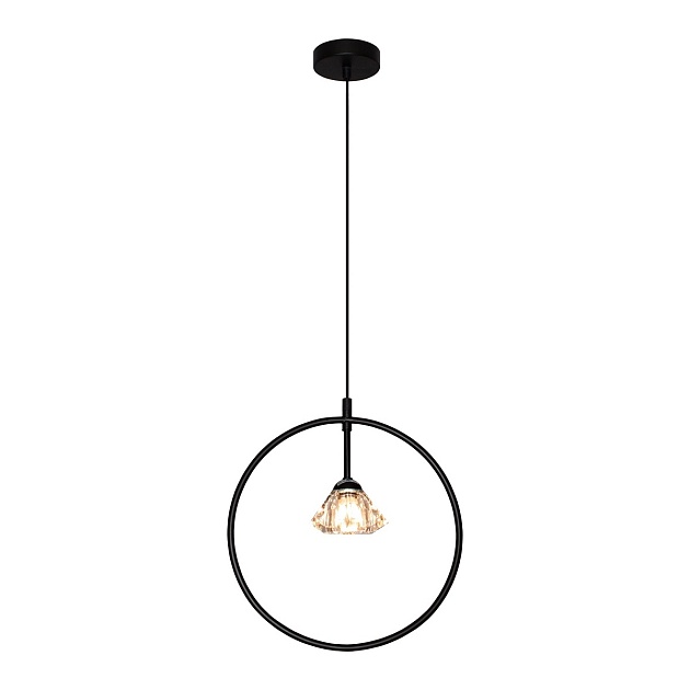 Подвесной светильник Gerhort G49902/1BK изображение 2 Подвесной светильник Gerhort G49902/1BK Фото № 2