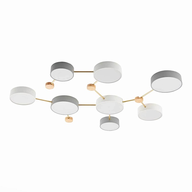 Потолочный светильник Evoluce DOSSENA SLE600102-08 Фото № 4