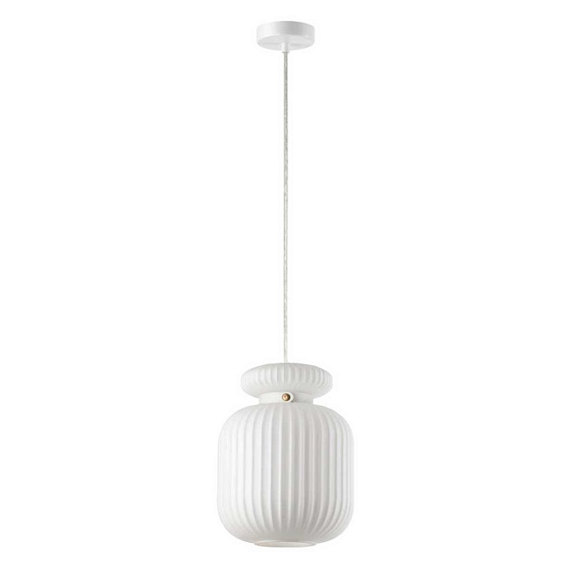 Подвесной светильник Odeon Light JUGI 5042/1C Фото № 1