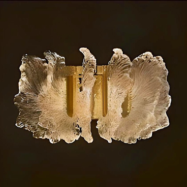 Настенный светодиодный светильник Mizi'en Princess MZ733137-330W изображение 1 Настенный светодиодный светильник Mizi'en Princess MZ733137-330W Фото № 1