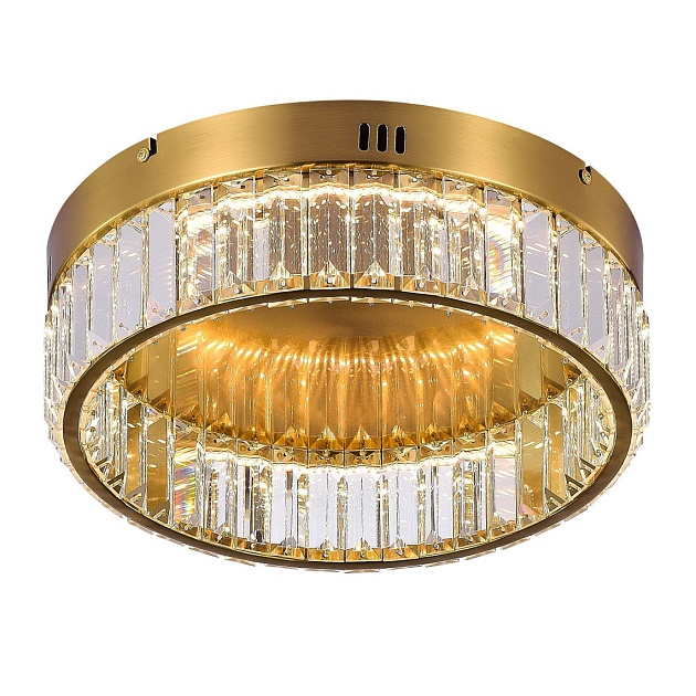 Потолочный светодиодный светильник MyFar Irina MR2010-1CL изображение 1 Потолочный светодиодный светильник MyFar Irina MR2010-1CL Фото № 1