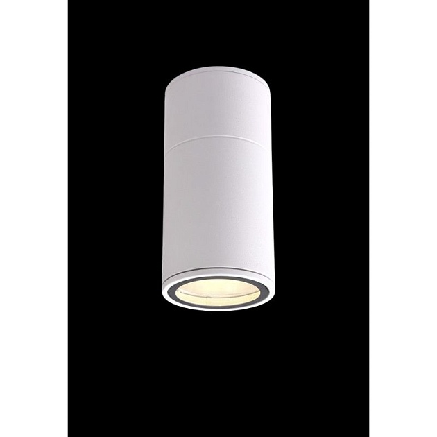 Уличный светильник Crystal Lux CLT 138C180 WH Фото № 3