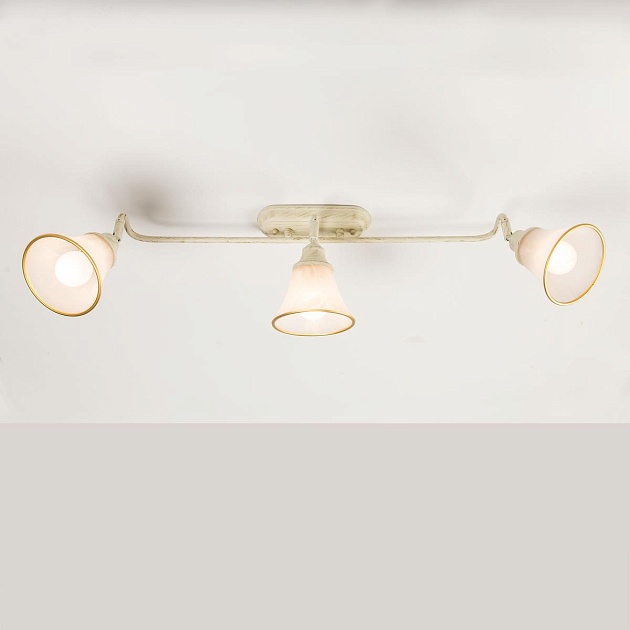 Спот Citilux Прованс CL511534 Фото № 11