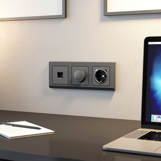 Диммер Werkel W1142064 4690389194399 Фото № 3