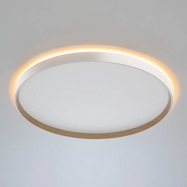 Потолочный светодиодный светильник Citilux Etalon CL750500R изображение 17 Потолочный светодиодный светильник Citilux Etalon CL750500R Фото № 17