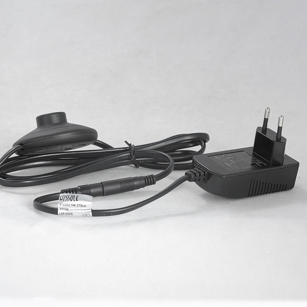 Торшер Lussole Loft Seattle LSP-0900 Фото № 3