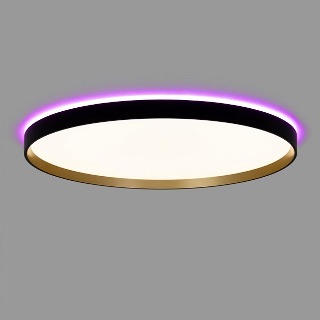 Светильник с пультом Citilux ETALON CL750501R Фото № 12