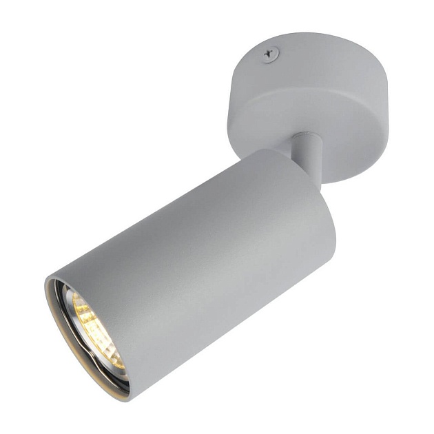 Спот Arte Lamp A3216PL-1GY Фото № 1