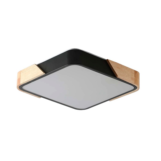 Потолочный светильник Zortes ALBERRO ZRS.01281.48 Фото № 1