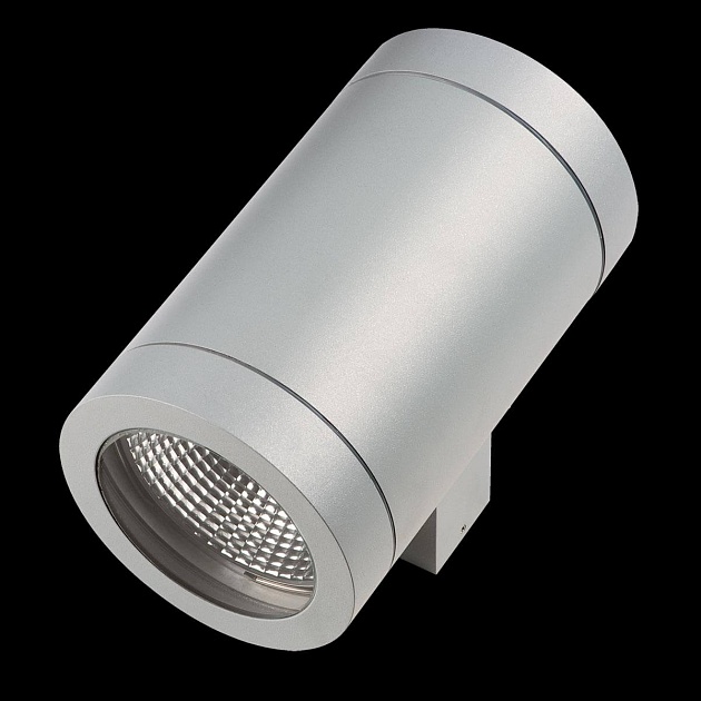 Уличный настенный светильник Lightstar Paro 351619 изображение 3 Уличный настенный светильник Lightstar Paro 351619 Фото № 3