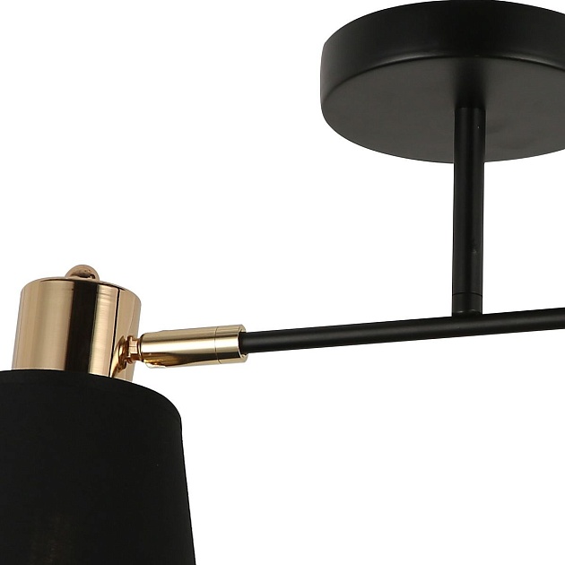 Спот Illumico IL6116-2COU-79 BK GD Фото № 2