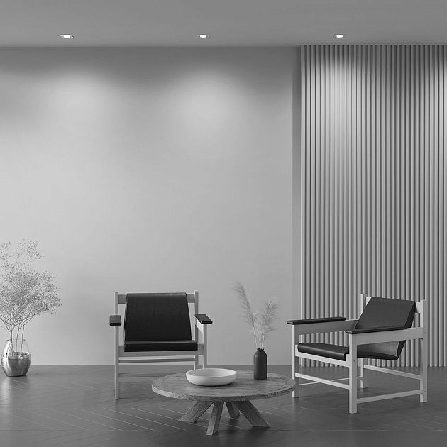 Встраиваемый светильник Maytoni Technical Atom DL024-2-01S Фото № 9