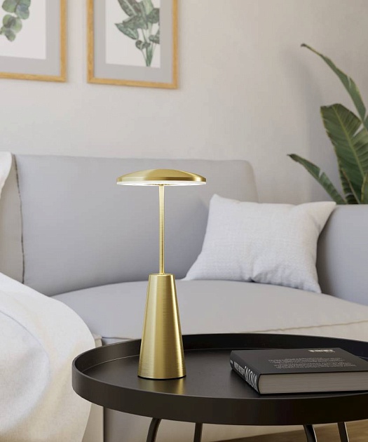 Уличный светодиодный светильник Eglo Piccola 900923 Фото № 10