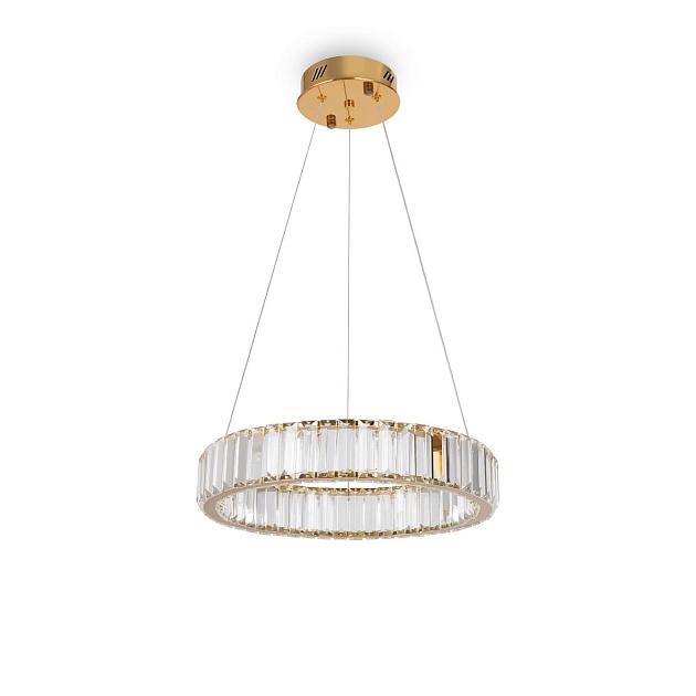 Подвесной светодиодный светильник Freya Tier FR5257PL-L17G Фото № 1