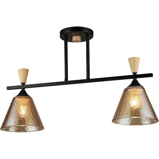 Спот Reluce 04864-0.3-02 BK+WOOD Фото № 1