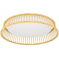 Потолочный светодиодный светильник Eglo Luppineria 900797