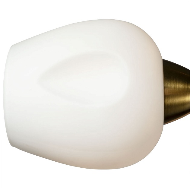 Потолочная люстра Arte Lamp Brighton A2706PL-5CK Фото № 2
