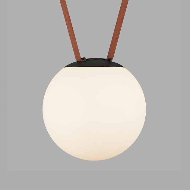 Трековый светильник Denkirs Belty Orb DK5553-BK Фото № 1