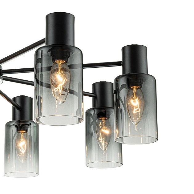 Потолочная люстра Escada Diversity 2120/8P Black Фото № 4