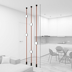 Трековая ременная система Denkirs Belty Set DK55SET19-01-BR 1