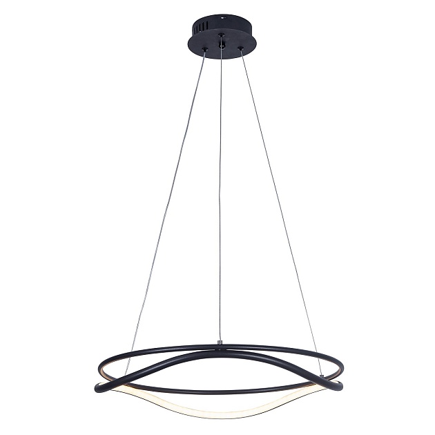Подвесной светодиодный светильник Lightstar Rotonda 736517 Фото № 1